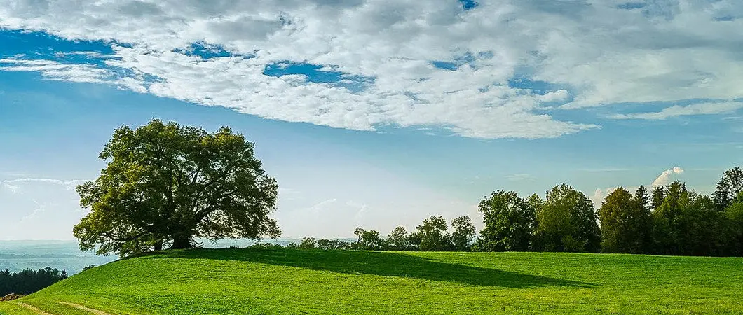Replay : revivez chaque débat des Rencontres du Développement Durable 2020
