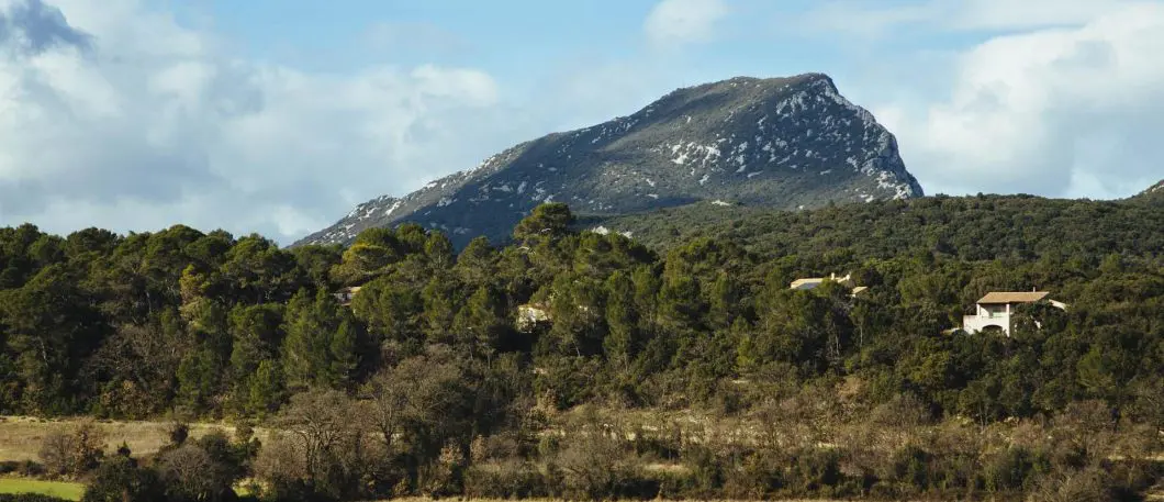 Montpellier and its territory