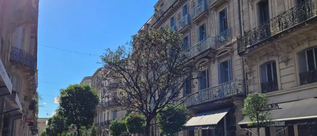 Montpellier: 1st city in France where it is good to study according to Le Figaro ranking