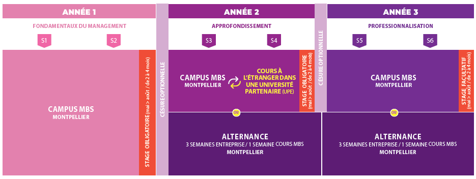 TRACK
INTERNATIONAL BUSINESS