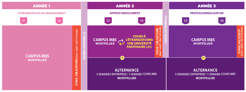TRACK
DIGITAL MARKETING & AI