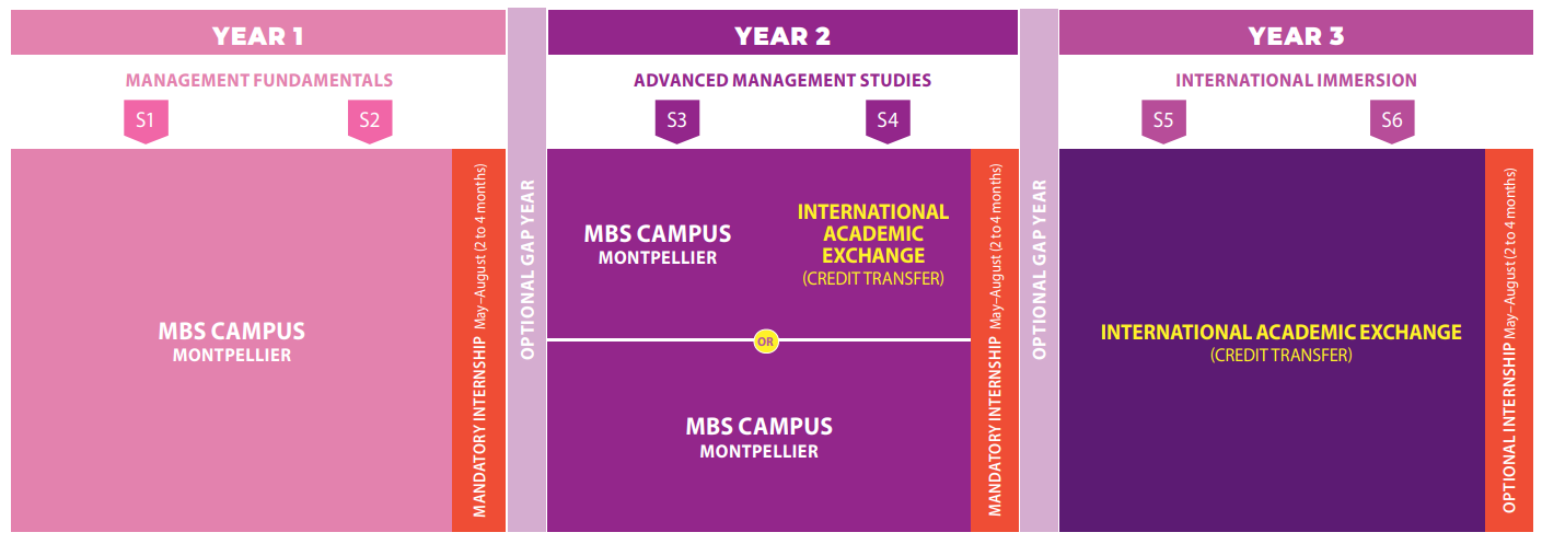 International Mobility pathway timeline